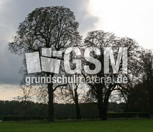 B-Herbststimmung 089.jpg